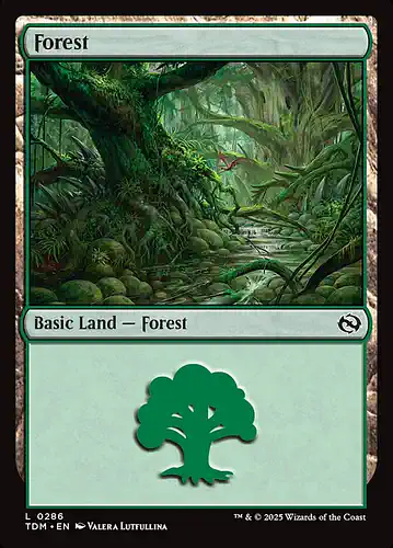 Forest - tdm Spoiler