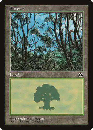 Forest - p02 Spoiler