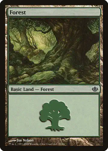 Forest - ddd Spoiler