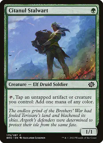 Citanul Stalwart - bro Spoiler