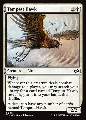 Tempest Hawk - tdm Spoiler