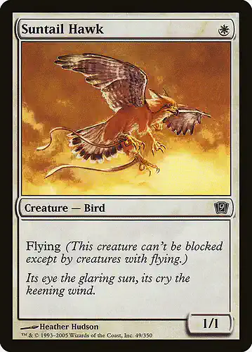 Suntail Hawk - 9ed Spoiler