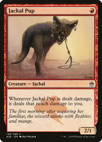 Jackal Pup - a25 Spoiler