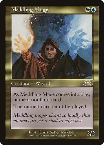 Meddling Mage - pls Spoiler