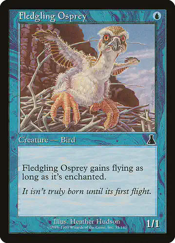 Fledgling Osprey - uds Spoiler
