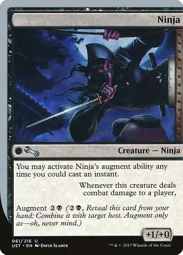 Ninja - ust Spoiler