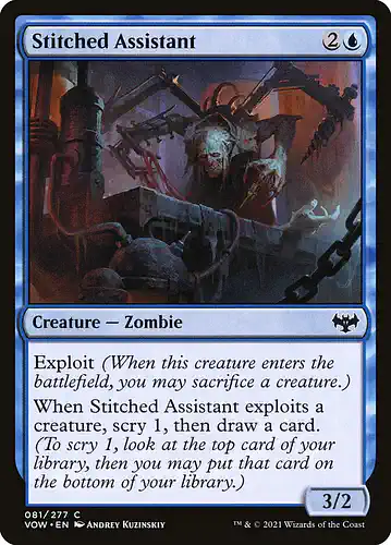 Stitched Assistant - vow Spoiler