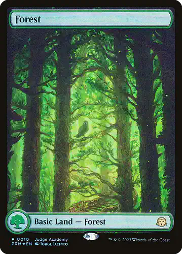 Forest - p23 Spoiler