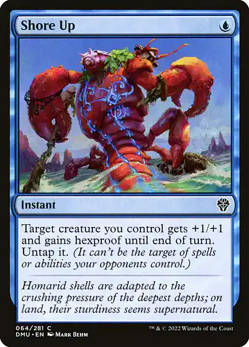 Shore Up - dmu Spoiler