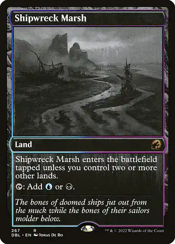 Shipwreck Marsh - dbl Spoiler