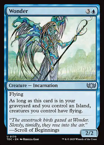 Wonder - tdc Spoiler