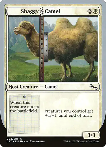 Shaggy Camel - ust Spoiler
