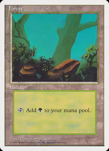 Forest - rqs Spoiler
