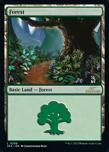Forest - 30a Spoiler