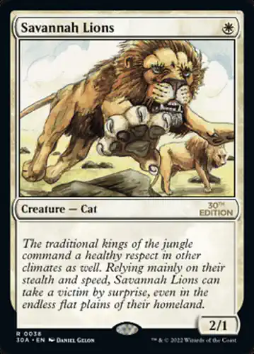 Savannah Lions - 30a Spoiler