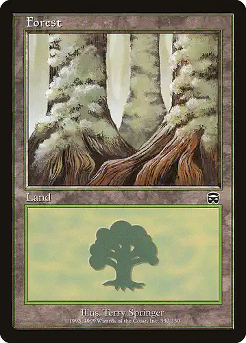 Forest - mmq Spoiler