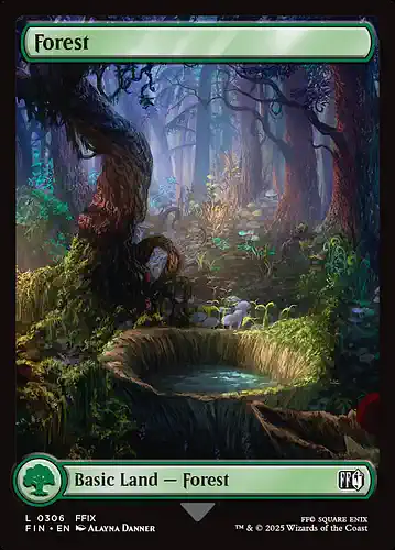 Forest - fin Spoiler