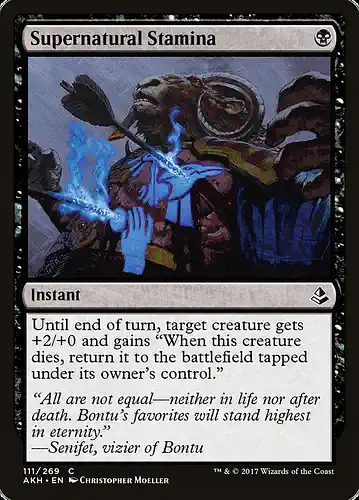 Supernatural Stamina - akh Spoiler