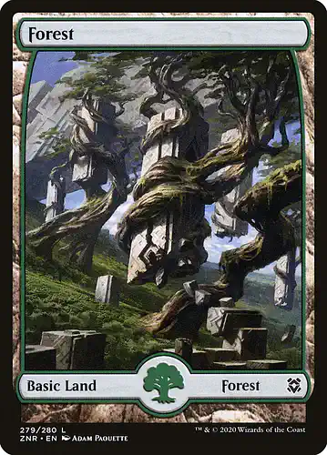 Forest - znr Spoiler