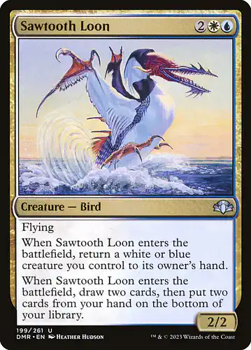Sawtooth Loon - dmr Spoiler