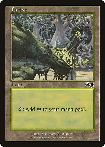 Forest - usg Spoiler