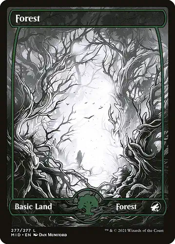 Forest - mid Spoiler