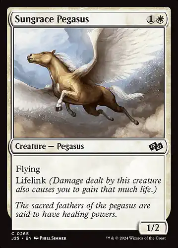 Sungrace Pegasus - j25 Spoiler