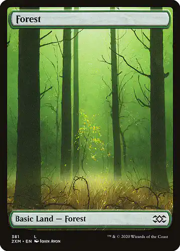Forest - 2xm Spoiler