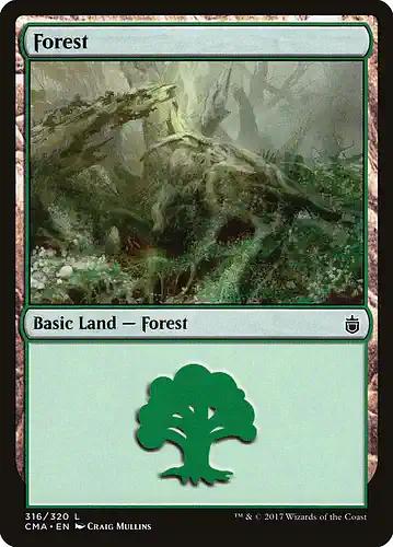 Forest - cma Spoiler