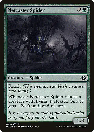 Netcaster Spider - ddo Spoiler