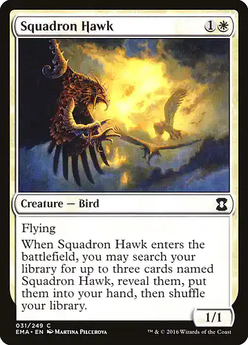 Squadron Hawk - ema Spoiler