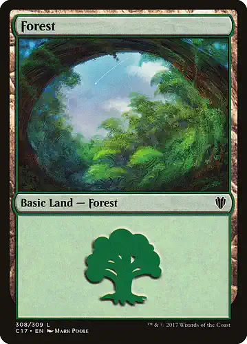 Forest - c17 Spoiler