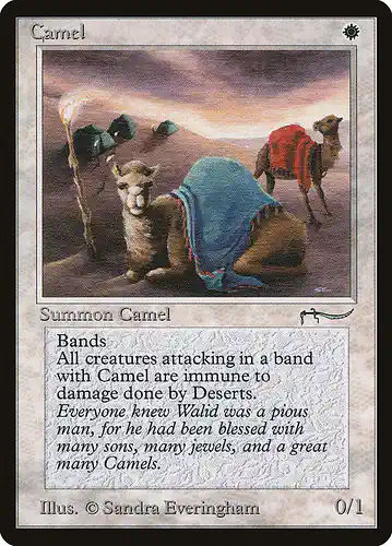 Camel - arn Spoiler
