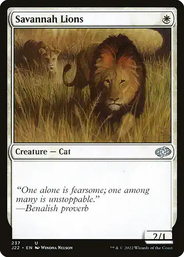 Savannah Lions - j22 Spoiler