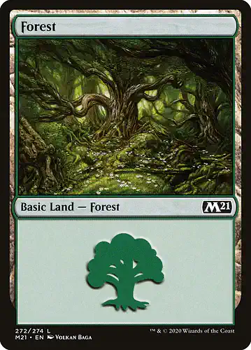 Forest - m21 Spoiler
