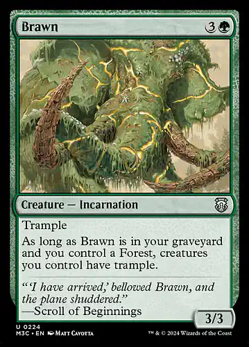Brawn - m3c Spoiler