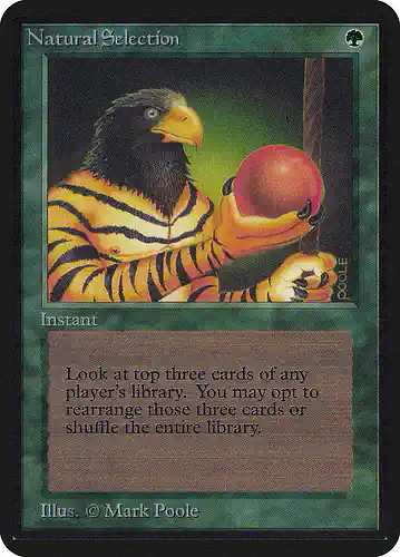 Natural Selection - lea Spoiler
