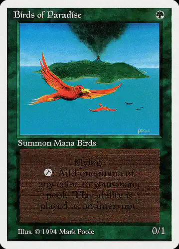 Birds of Paradise - sum Spoiler