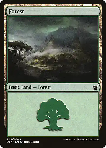 Forest - dtk Spoiler