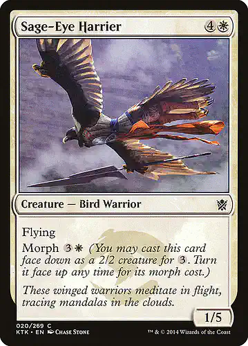 Sage-Eye Harrier - ktk Spoiler