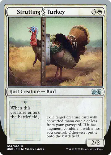 Strutting Turkey - und Spoiler
