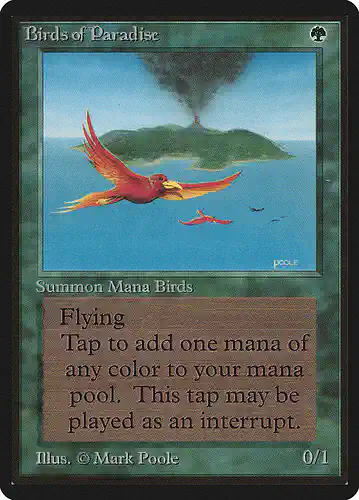 Birds of Paradise - leb Spoiler