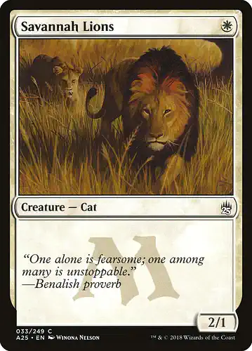 Savannah Lions - a25 Spoiler