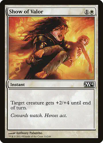 Show of Valor - m14 Spoiler