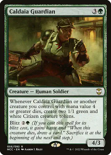 Caldaia Guardian - ncc Spoiler