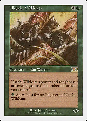 Uktabi Wildcats - 6ed Spoiler
