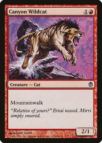 Canyon Wildcat - ddh Spoiler