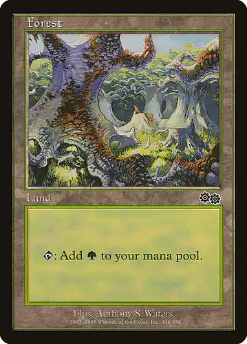 Forest - usg Spoiler