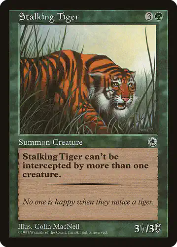 Stalking Tiger - por Spoiler