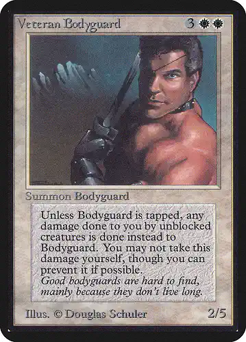Veteran Bodyguard - lea Spoiler